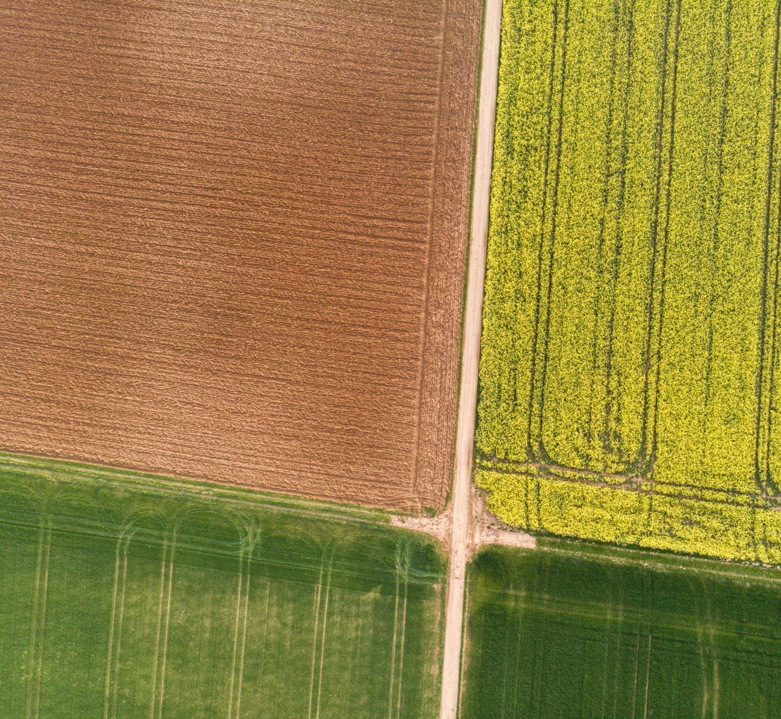 Akkerland van bovenaf: een bruine geploegde akker naast geel bloeiend koolzaad en twee groene percelen, gescheiden door een rechte zandweg.